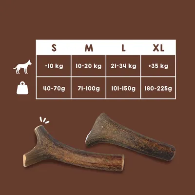 MAIKAI Bois de Cerf pour Chien 100% Naturel - Os à Mâcher - Jouet Résistant