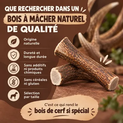 MAIKAI Bois de Cerf pour Chien 100% Naturel - Os à Mâcher - Jouet Résistant