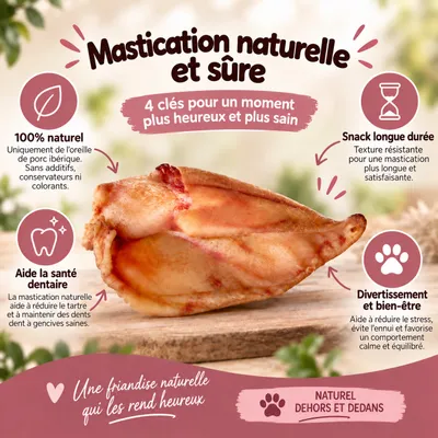 MAIKAI Oreilles de Porc pour Chien - Friandises à Mâcher 100% Naturels MAIKAI Oreilles de Porc pour Chien - Friandises à Mâcher 100% Naturels