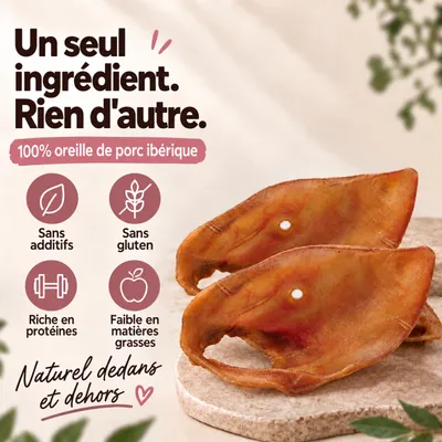 MAIKAI Oreilles de Porc pour Chien - Friandises à Mâcher 100% Naturels MAIKAI Oreilles de Porc pour Chien - Friandises à Mâcher 100% Naturels