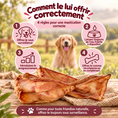 MAIKAI Oreilles de Porc pour Chien - Friandises à Mâcher 100% Naturels MAIKAI Oreilles de Porc pour Chien - Friandises à Mâcher 100% Naturels