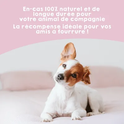 MAIKAI Oreilles de Porc pour Chien - Friandises à Mâcher 100% Naturels