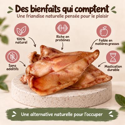 MAIKAI Oreilles de Porc pour Chien - Friandises à Mâcher 100% Naturels