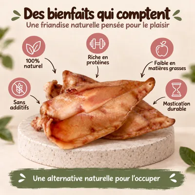MAIKAI Oreilles de Porc pour Chien - Friandises à Mâcher 100% Naturels MAIKAI Oreilles de Porc pour Chien - Friandises à Mâcher 100% Naturels