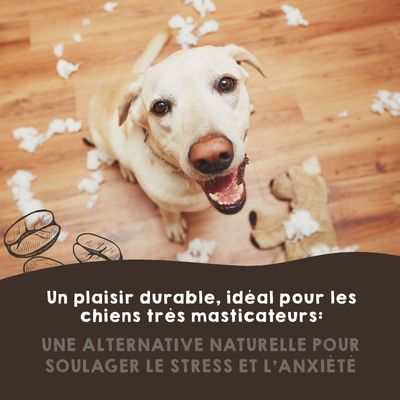 MAIKAI Bâton à Mâcher en Bois de Café - Jouet Naturel pour Chien