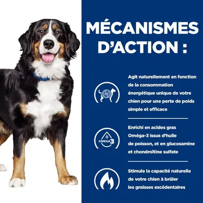 Hill's Croquettes pour chien Adult Prescription Diet J/D Metabolic Hill's Croquettes pour chien Adult Prescription Diet J/D Metabolic