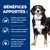 Hill's Croquettes pour chien Adult Prescription Diet J/D Metabolic Hill's Croquettes pour chien Adult Prescription Diet J/D Metabolic