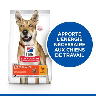 HILL'S - SCIENCE PLAN ADULT PERFORMANCE DOG DRINKS - HILL'S