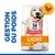HILL'S -   CHIEN SCIENCE PLAN ADULTE LIGHT LARGE POULET