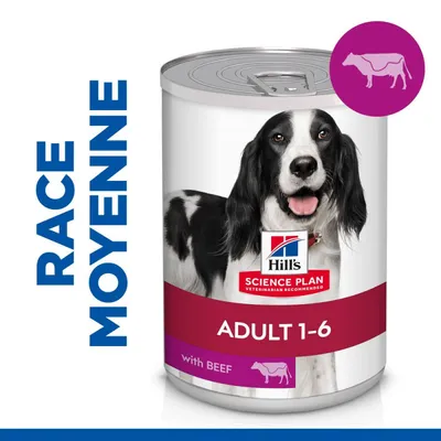 HILL'S -  CHIEN SCIENCE PLAN ADULTE BOEUF (boite)