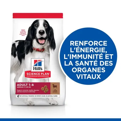 HILL'S -   CHIEN SCIENCE PLAN ADULT MEDIUM AGNEAU / RIZ