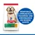 HILL'S -   CHIEN SCIENCE PLAN PUPPY LARGE POULET