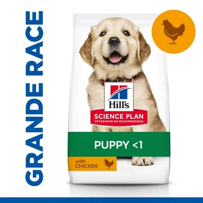 Hill's Croquettes pour chien Science Plan Puppy Large Poulet