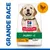 HILL'S -   CHIEN SCIENCE PLAN PUPPY LARGE POULET