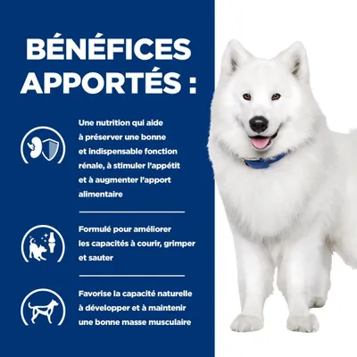 Hill's Croquettes pour chien Adult Prescription Diet K/D Kidney + Mobility