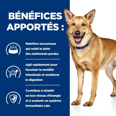 HILL'S -   CHIEN ADULT PRESCRIPTION DIETS I/D DIGESTIVE CARE