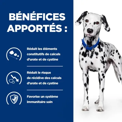 HILL'S -   CHIEN ADULT PRESCRIPTION DIETS U/D URINARY CARE
