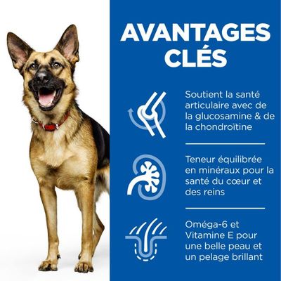 HILL'S - SCIENCE PLAN HUNDEFUTTER FÜR ERWACHSENE, AUSGEWACHSENE HUNDE AB 6