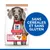 HILL'S -   CHIEN SCIENCE PLAN ADULTE LARGE POULET SANS CEREALES