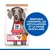 HILL'S -   CHIEN SCIENCE PLAN ADULTE LARGE POULET SANS CEREALES