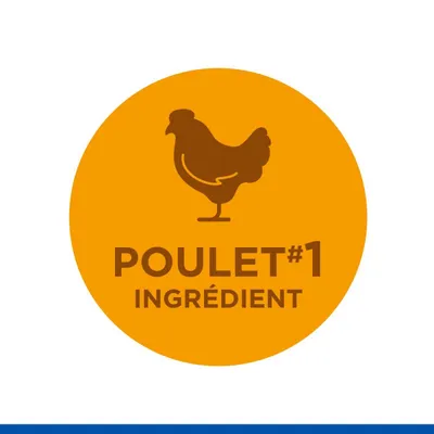 HILL'S -   CHIEN SCIENCE PLAN ADULTE LARGE POULET SANS CEREALES