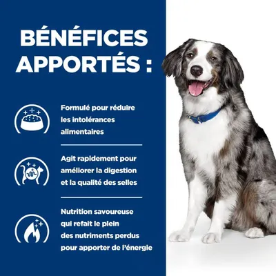 Hill's Croquettes pour chien Adult Prescription Diet I/D Sensitive