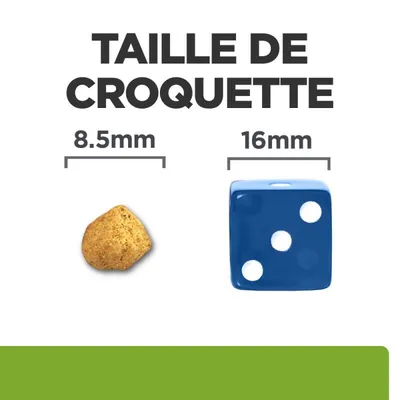 Hill's Croquettes pour chat Adult Prescription Diet Hill's Croquettes pour chat Adult Prescription Diet