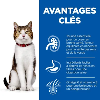 HILL'S -   CHAT SCIENCE PLAN ADULT MATURE 7+ POULET