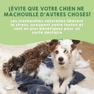 MAIKAI Bâtonnets a Macher au Fromage pour Chien de l´Himalaya MAIKAI Bâtonnets a Macher au Fromage pour Chien de l´Himalaya