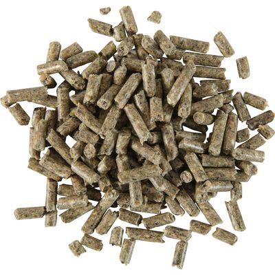 Granulés pour lapin nain adulte (6 mois et plus) sac de 2.55 kg