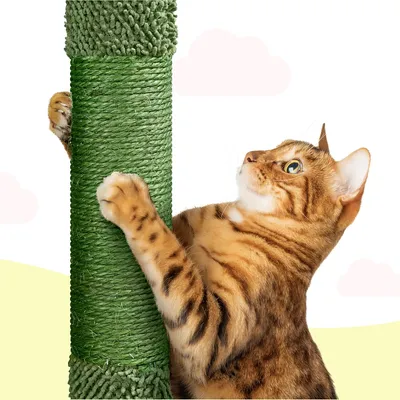 Katzenbaum 123cm Kaktus Oase-Thema Kratzbaum mit 2 Plattformen 2 Höhle