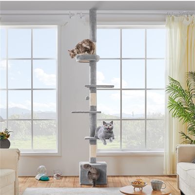 Arbre à Chat Plafond Réglable En Hauteur Avec Cachette Et Griffoirs