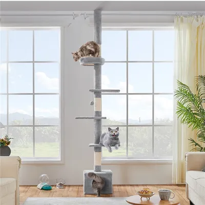 Arbre à Chat Plafond Réglable En Hauteur Avec Cachette Et Griffoirs