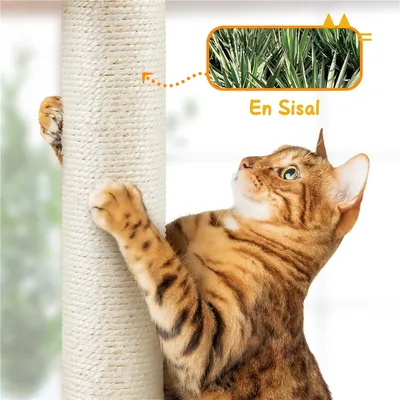 Yaheetech Arbre à Chat Réglable en Hauteur