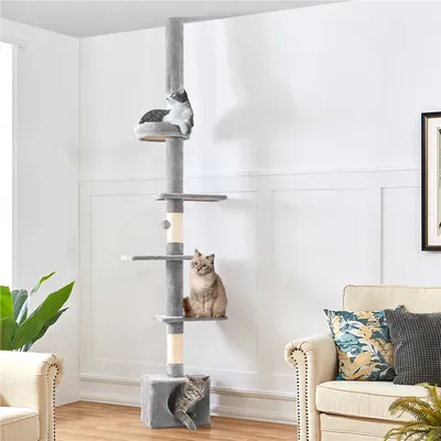 Arbre à Chat Plafond Réglable En Hauteur Avec Cachette Et Griffoirs