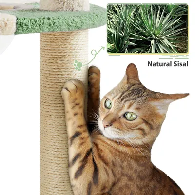 Yaheetech Arbre à Chat  Design  Océan