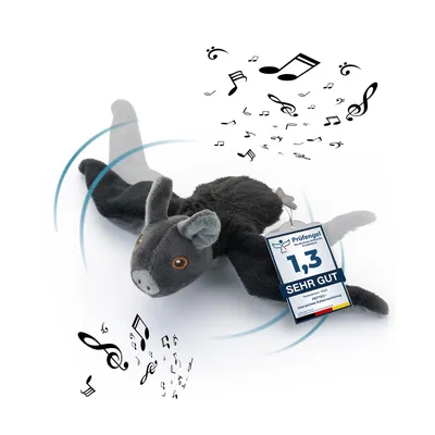 Chauve-souris interactif Chauve-souris interactif