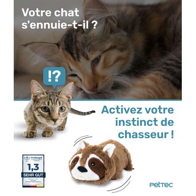 Raton Laveur Mobile