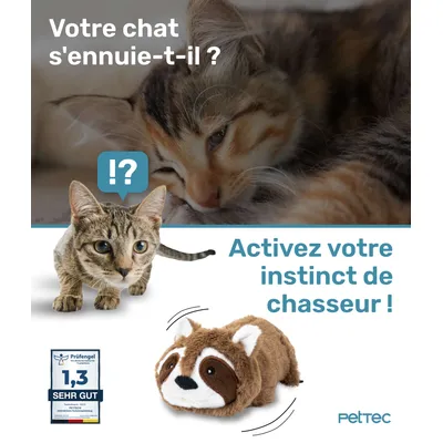 Raton Laveur Mobile