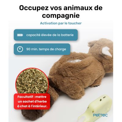 Raton Laveur Mobile