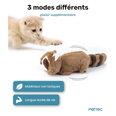 Raton Laveur Mobile