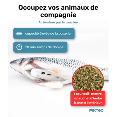 Poisson interactif