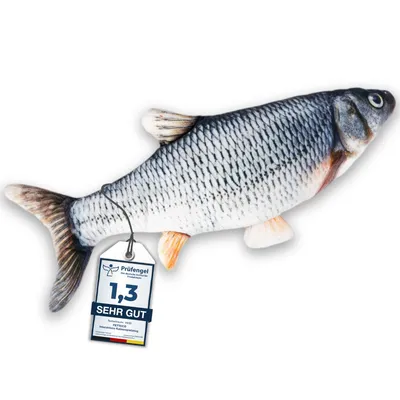 Poisson interactif