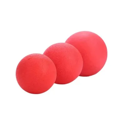 Balle rebondissante solide pour chien Balle rebondissante solide pour chien