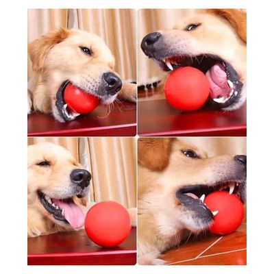 France Croquettes Springball aus Gummi für Hunde