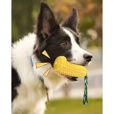 Hundekorn Hundekorn