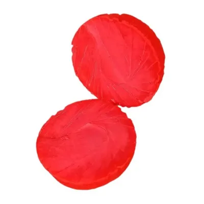 France Croquettes - Balle solide rebondissante