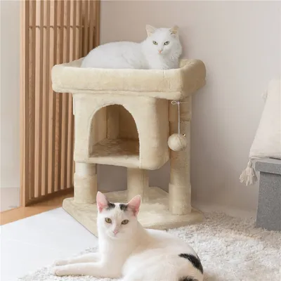 Arbre à Chat 2 Niveaux Avec Cachette Perchoir Niche Poteaux Griffoir