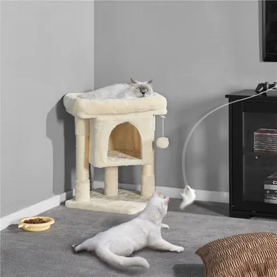 Arbre à Chat 2 Niveaux Avec Cachette Perchoir Niche Poteaux Griffoir