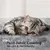 Yaheetech Arbre à Chat 86,5 cm de Haut